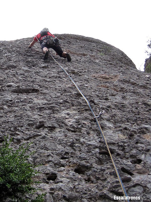 La Canvi Climbàtic, bona opció quan cerquem ombra